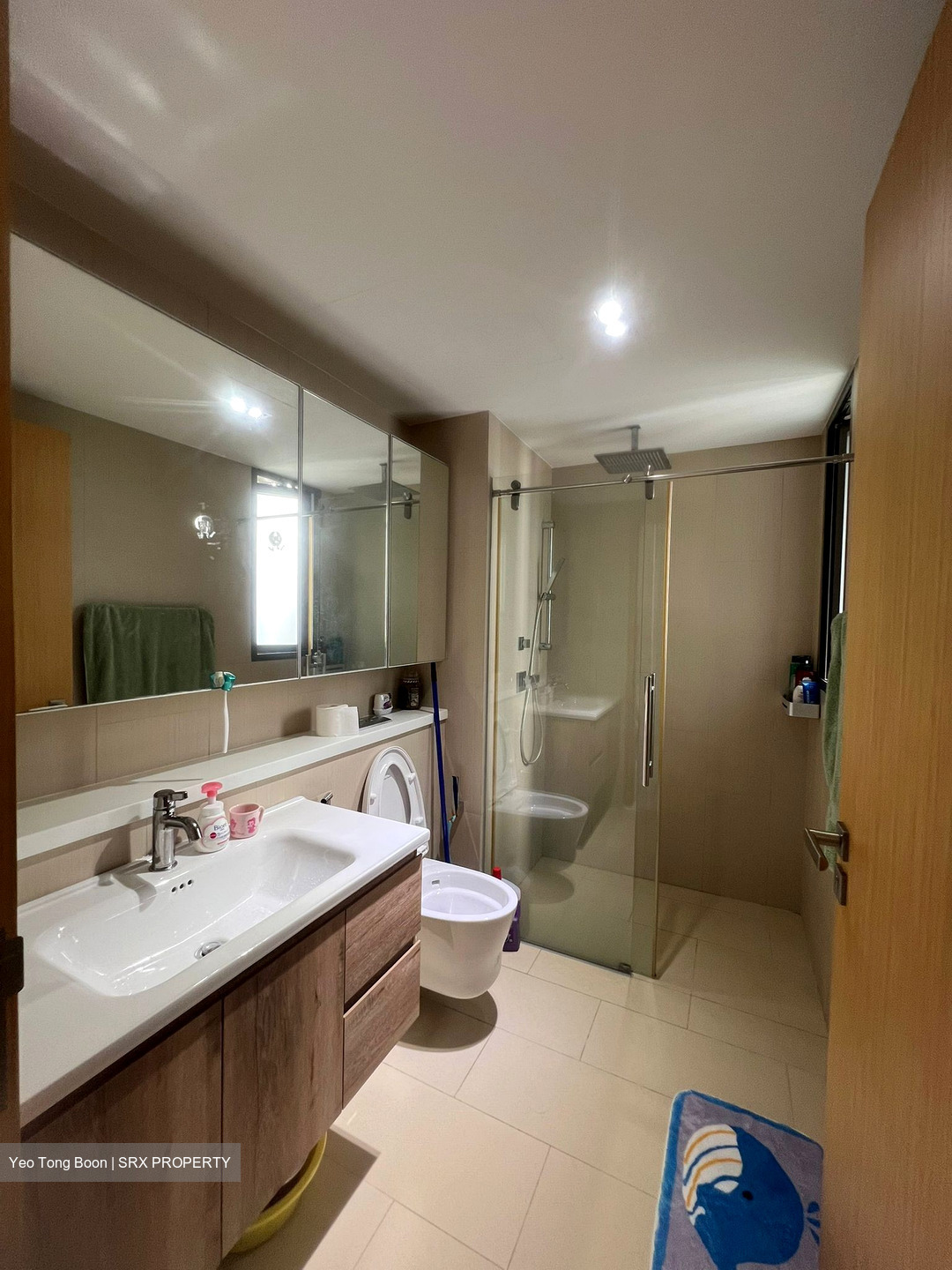 The Viridian (D12), Apartment #548522321